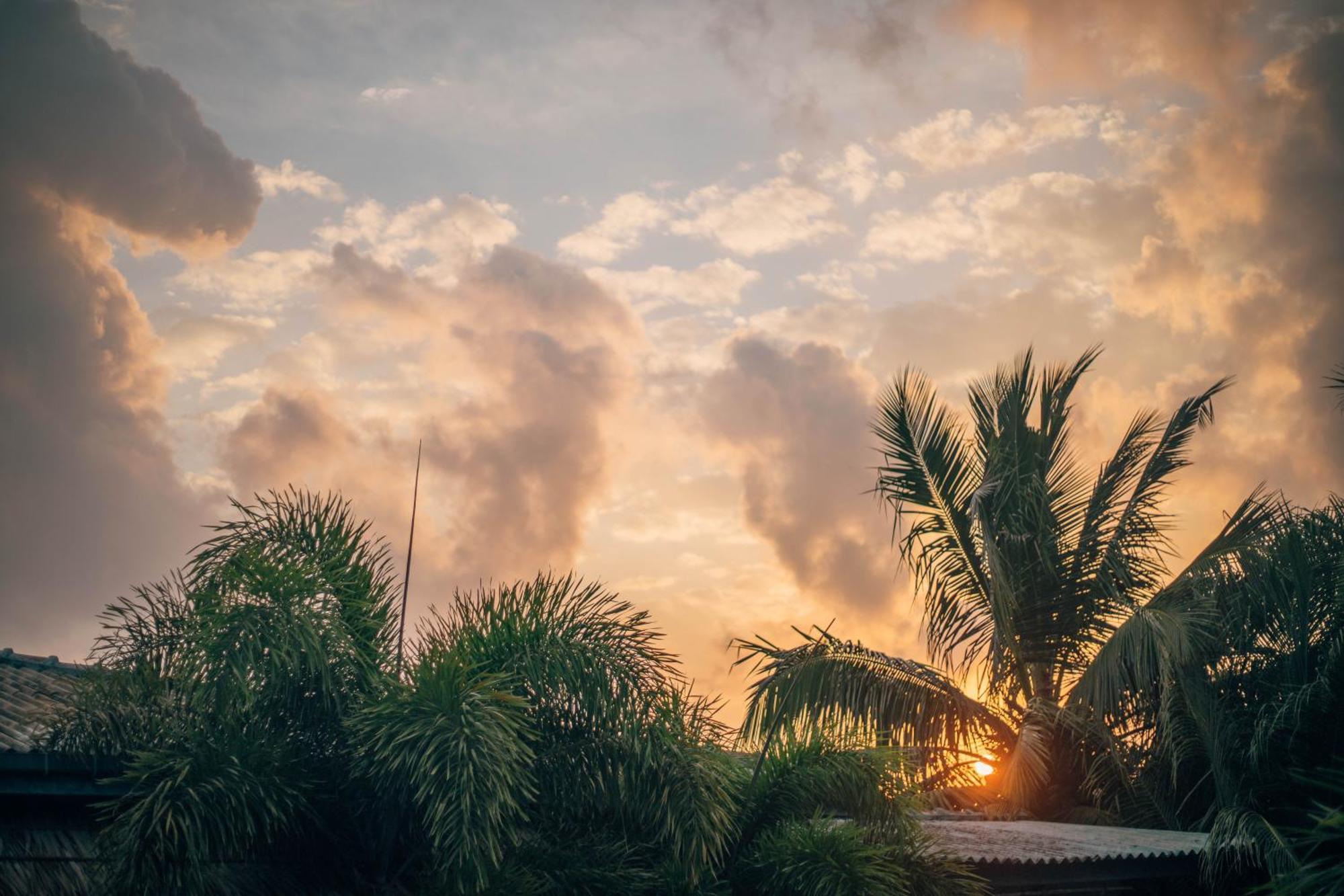 Shell Resort Arugam Bay Exterior foto